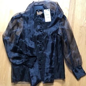 Zara Woman Sheer Organza Button Blouse